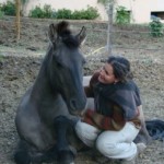 Logo du groupe Ethologie, communiquer avec son cheval